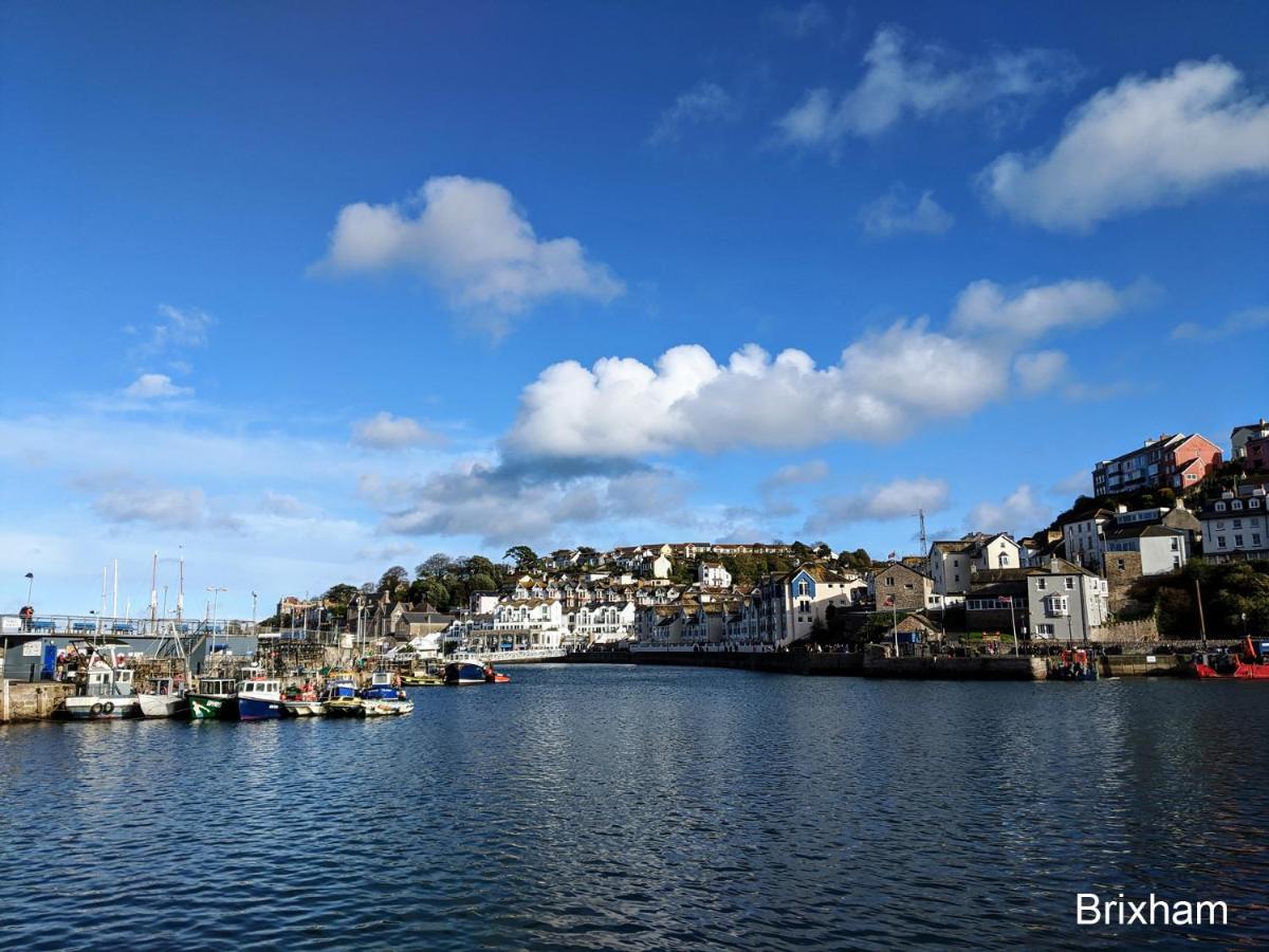 Riviera Coastal In Devon Uk *